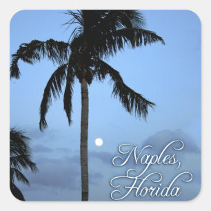 Florida Palm Tree Square Sticker