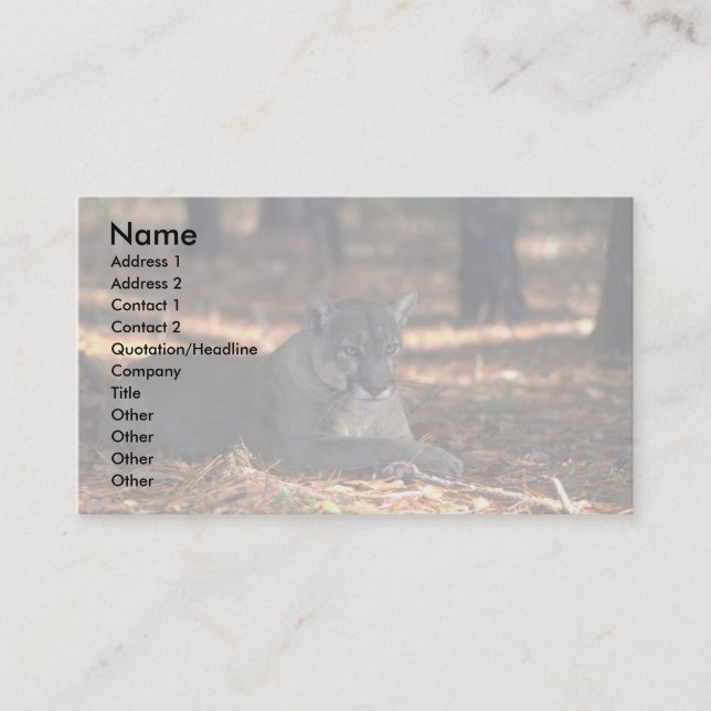 Florida """"Panther"""" (Cougar) lying down Business Card (Front)