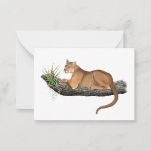 Florida Panther Note Card