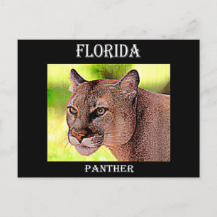 Florida Panther Postcard