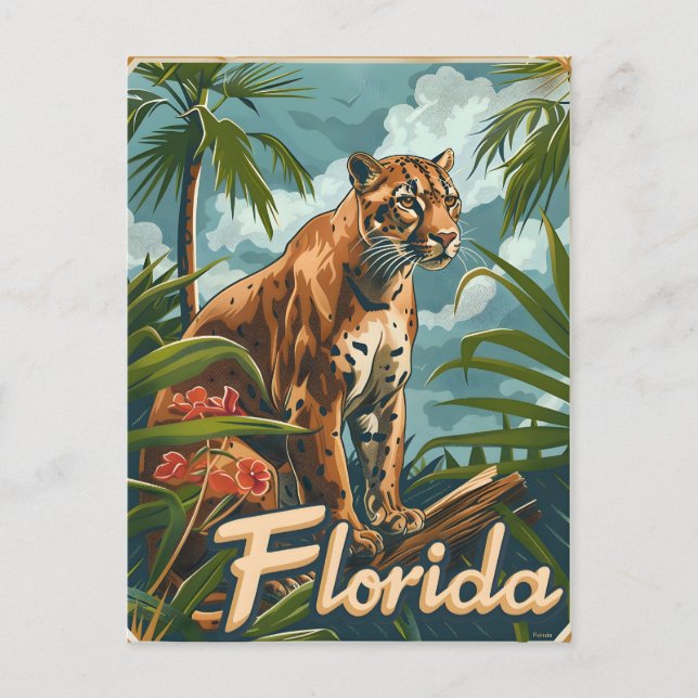 Florida Panther  Postcard (Front)