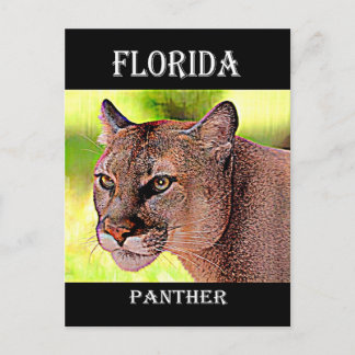 Florida Panther Postcard