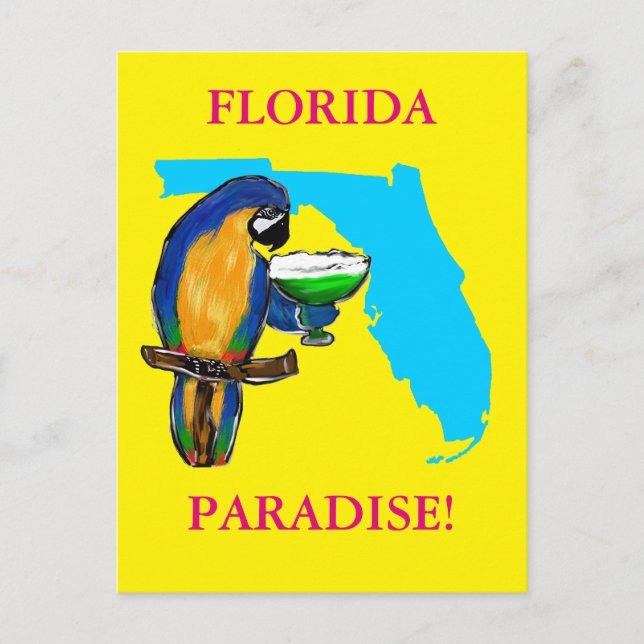FLORIDA PARROTS POSTCARD (Front)