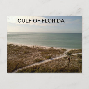 Florida Pathway Leading to the Shore Postcard