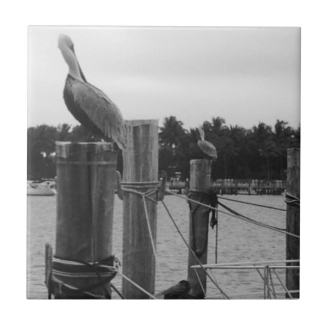 Florida, Pelican on the Boatdock tile (Front)