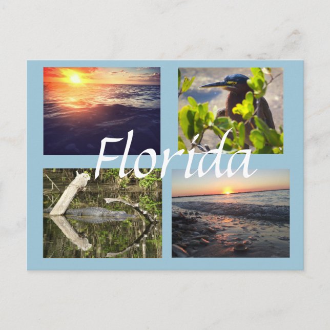 Florida photography postcard (Front)