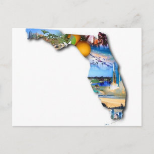 FLORIDA PICTURE DESIGN POSTCARD