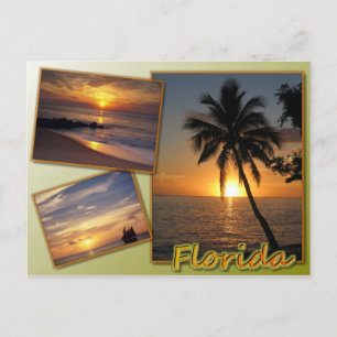 Florida Postcard