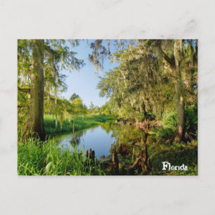 Florida Postcard