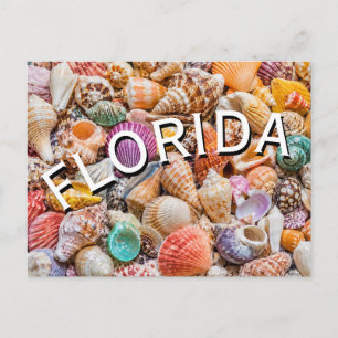 Florida  postcard