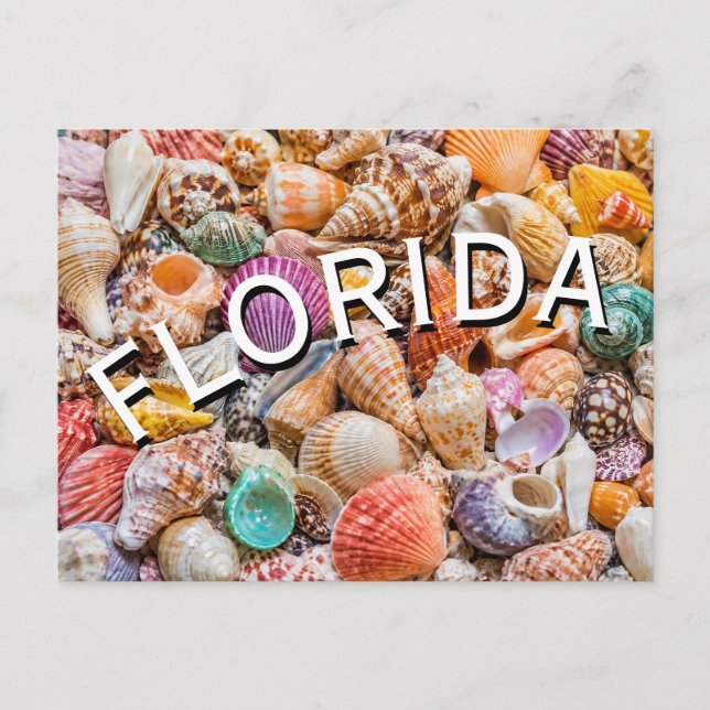 Florida  postcard (Front)