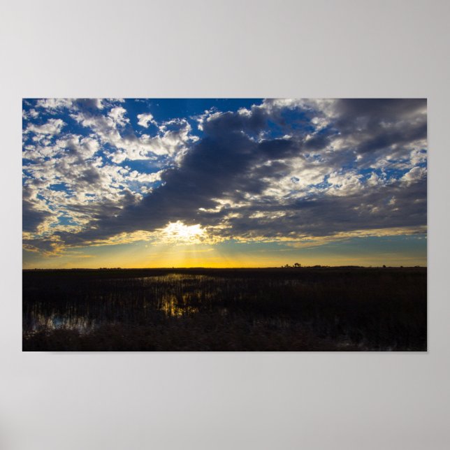 Florida Prairie Landscape Poster (Front)