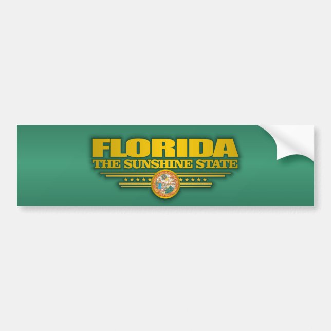 Florida Pride Bumper Sticker (Front)