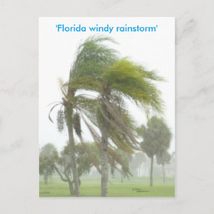 Florida Rainstorm Palm trees Postcard