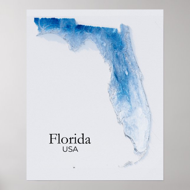 Florida Relief Map Bleu Texture Poster (Front)