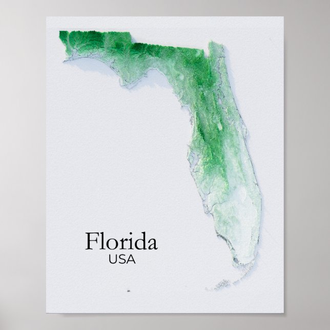 Florida Relief Map Green Texture  Poster (Front)