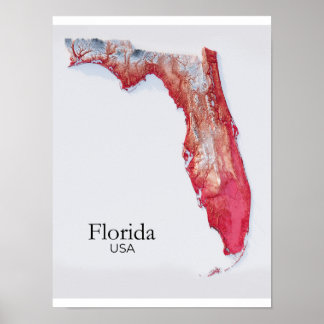 Florida Relief Map Red Texture Poster