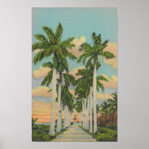 Florida Royal Palms Poster
