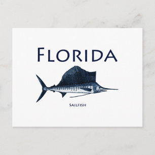 Florida Sailfish Postcard