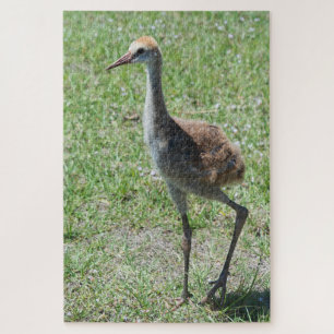 Florida Sandhill Cranes In Green Field Photograph Jigsaw Puzzle