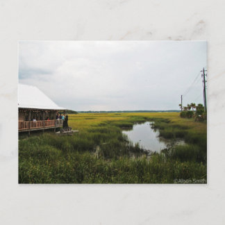 Florida Scenery Postcard