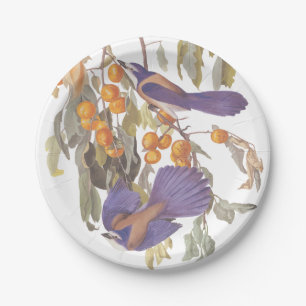 Florida Scrub Jay Audubon Bird on Orange Tree Paper Plate