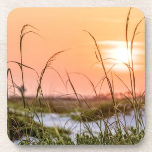 Florida Sea Oats Sunrise Coaster