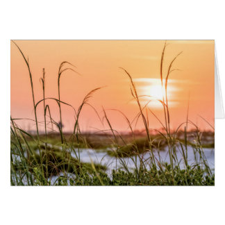 Florida Sea Oats Sunrise Greeting Card