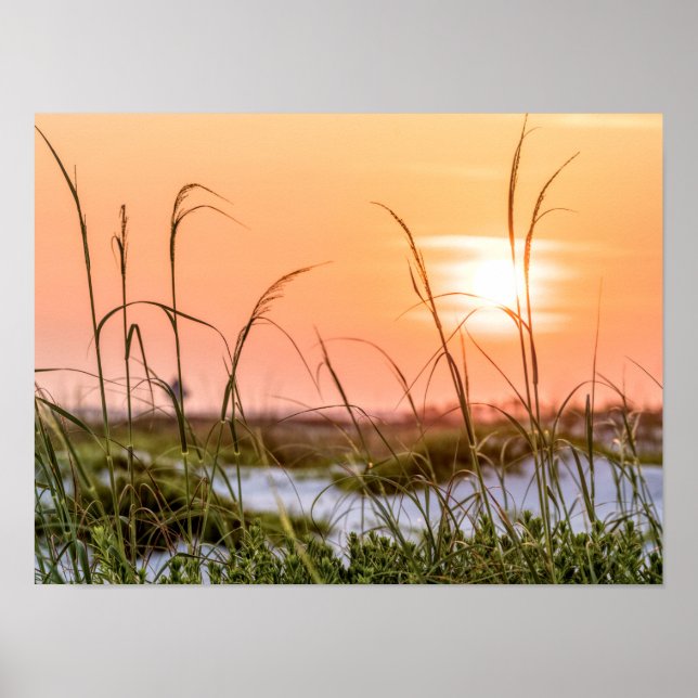 Florida Sea Oats Sunrise Poster (Front)