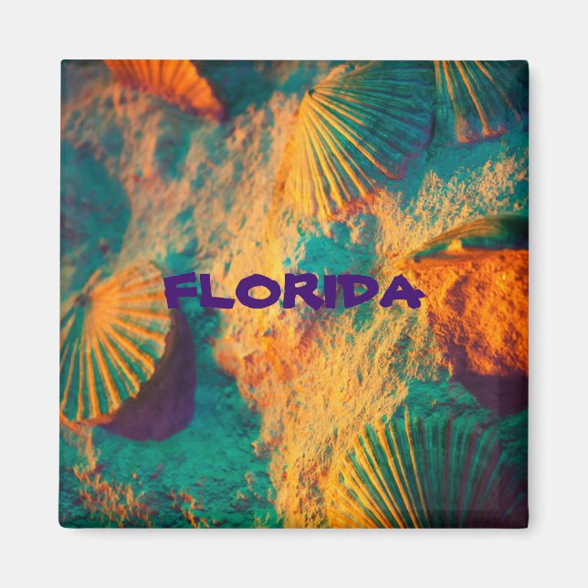 FLORIDA Sea Shells refrigerator magnet (Front)