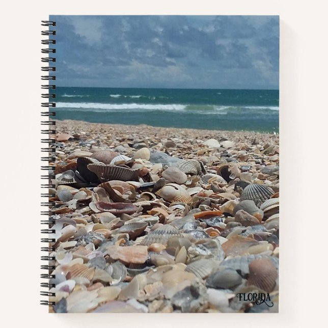 Florida Seashell Atlantic Ocean Beach Nature Photo Notebook (Front)