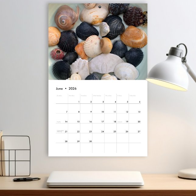 Florida Seashell Photography Calendar Volume 2 (Creator Uploaded)