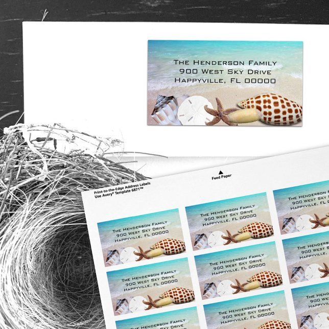 Florida Seashells Coastal Living Label (Creator Uploaded)