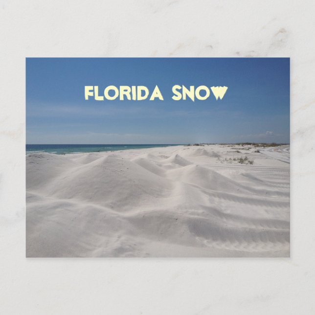 Florida Snow Postcard (Front)