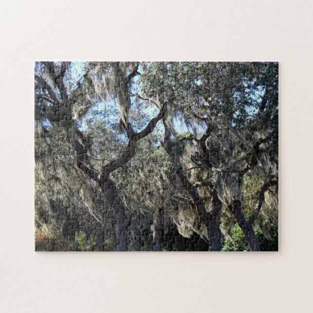Florida Spanish Moss Jigsaw Puzzle (Horizontal)