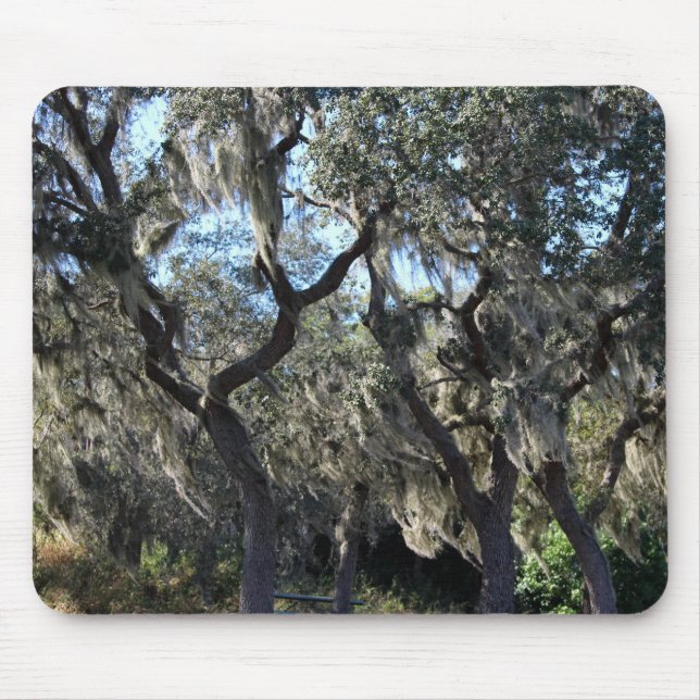 Florida Spanish Moss Mouse Pad (Front)