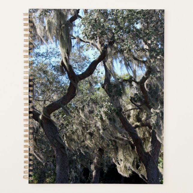 Florida Spanish Moss Planner (Front)