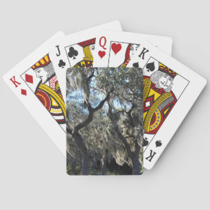 Florida Spanish Moss Playing Cards