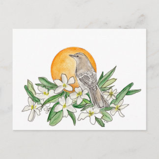 Florida State Bird and Flower Postcard