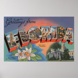 Florida (State Capital Scene) Poster