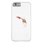 Florida State Flag and Map