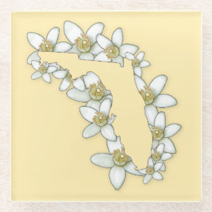 Florida State Flower Coaster