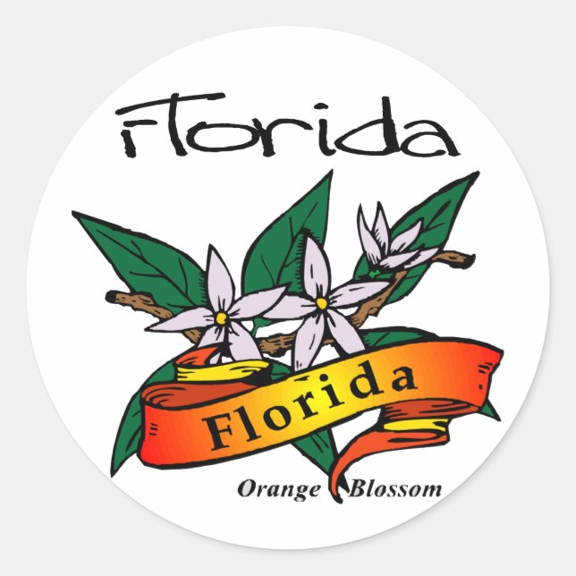 Florida State Flower Orange Blossom Classic Round Sticker (Front)