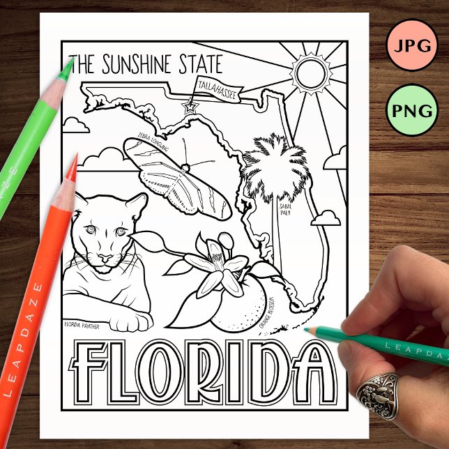 florida state shape and facts colouring page (Creator Uploaded)