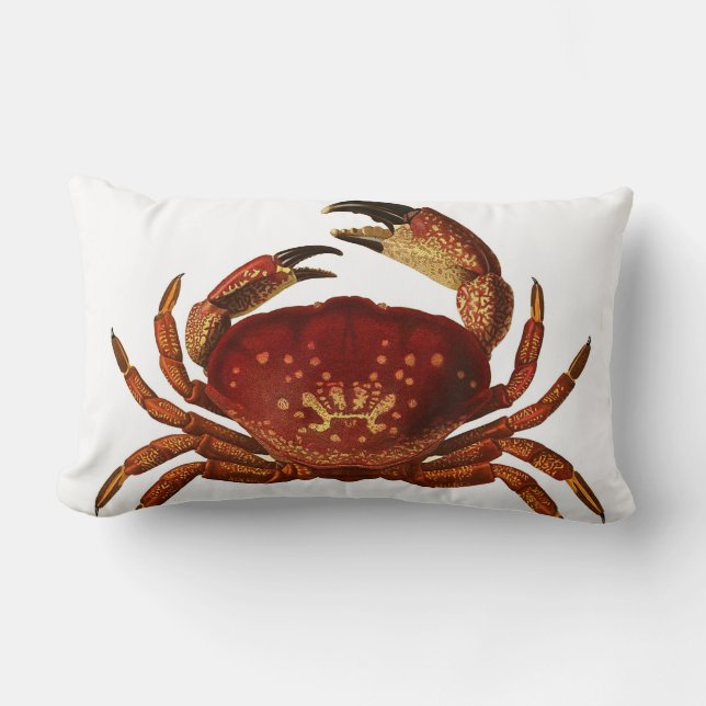 Florida Stone Crab Lumbar Throw Pillow (Front)