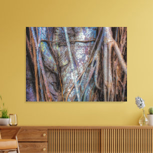 Florida Strangler Fig Canvas Print