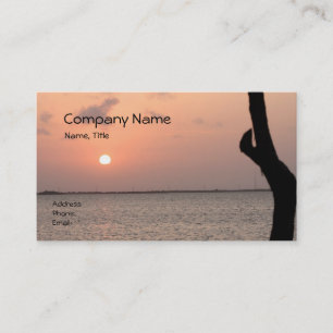 Florida Sunrise Business Card