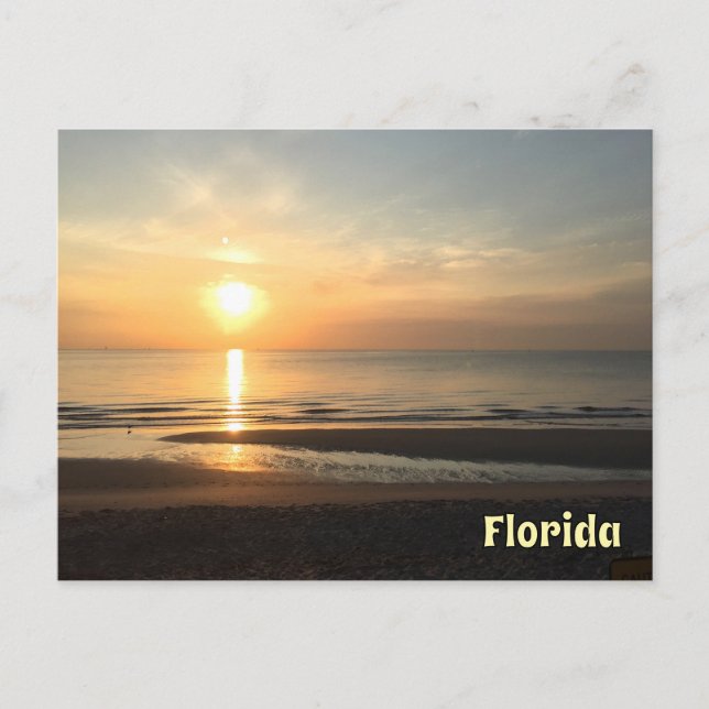 Florida Sunrise Coastal Morning Bliss Postcard (Front)