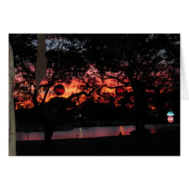 Florida Sunset (Front Horizontal)