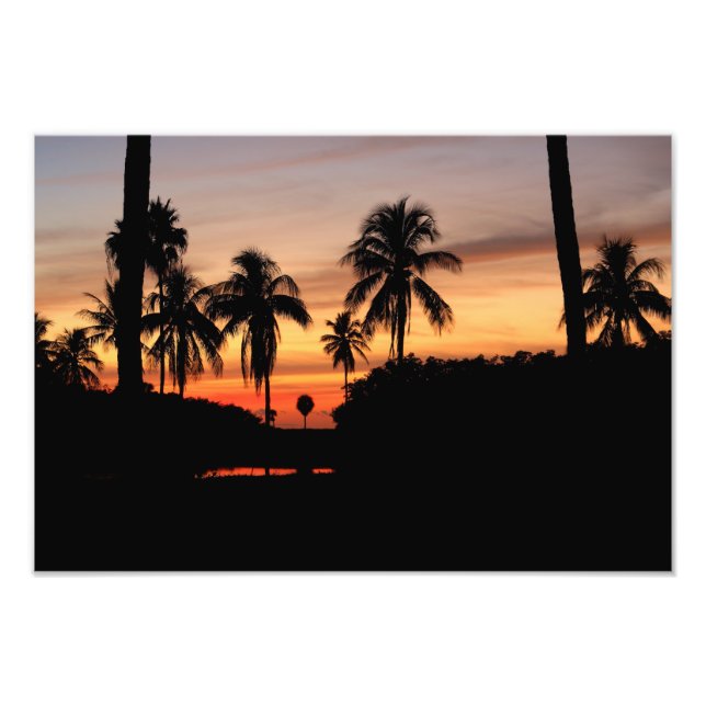 Florida sunset photo print (Front)